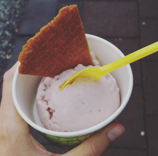 Vegan ice cream Reykjavik